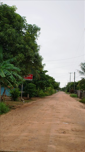 Peak hour in Hopkins main street