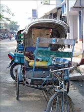 by rachdobson, Views[98]