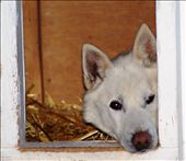 by rachdobson, Views[97]