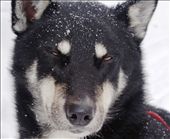 by rachdobson, Views[94]