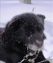 by rachdobson, Views[96]