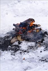 by rachdobson, Views[77]