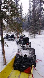 by rachdobson, Views[101]