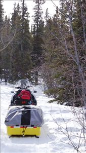 by rachdobson, Views[94]