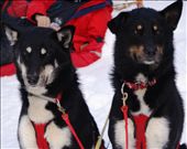 by rachdobson, Views[91]