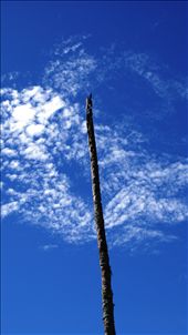 by rachdobson, Views[102]