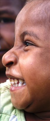 by rachdobson, Views[84]