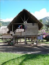 by rachdobson, Views[105]