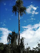 by rachdobson, Views[148]