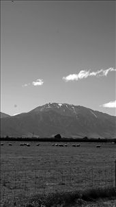 by rachdobson, Views[103]