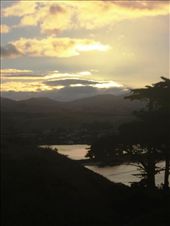 by rachdobson, Views[98]