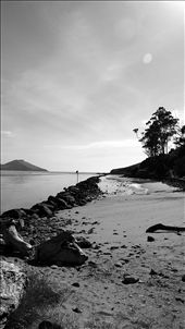 by rachdobson, Views[97]