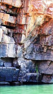 by rachdobson, Views[86]