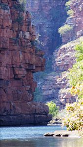 by rachdobson, Views[129]