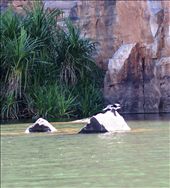 by rachdobson, Views[98]