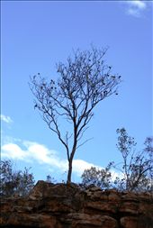 by rachdobson, Views[103]