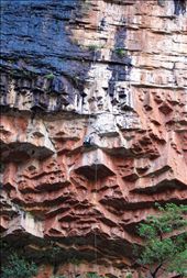 by rachdobson, Views[139]