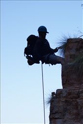 by rachdobson, Views[159]