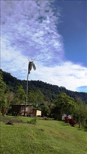 by rachdobson, Views[105]