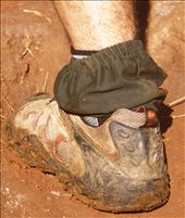 by rachdobson, Views[139]