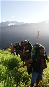 by rachdobson, Views[176]