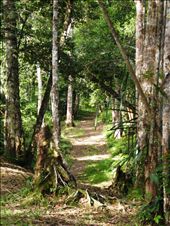 by rachdobson, Views[111]