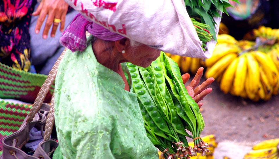 Nature provides in plenty, walking hand in hand with the knowledge of the elders. 