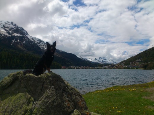 Hilda by the lake in St-Moritz