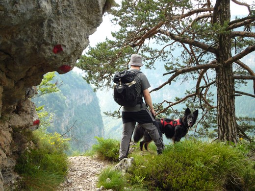 A typical path in the Dolomites taken on our walk from Molveno