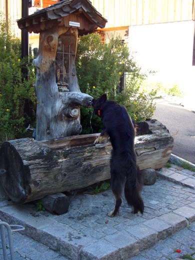 Hilda drinking eau naturel (apparently nothing else will do)
