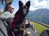 Hilda on a chairlift in St. Anton: by rachelsimonanddog, Views[372]