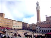The central piazza in Siena where they race the horses: by rachelsimonanddog, Views[311]