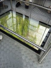 by rachthe1st, Views[200]