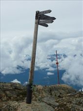 by rachthe1st, Views[337]