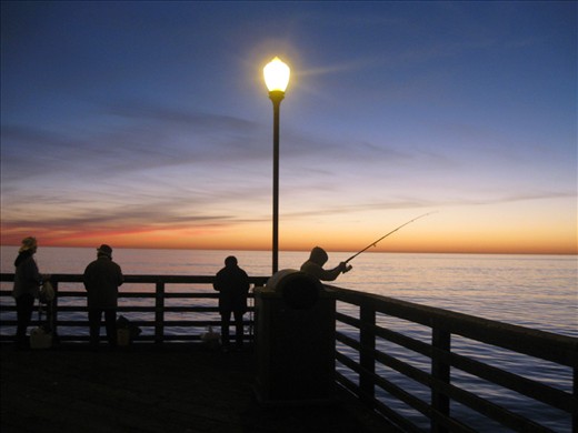 Bing! You got a fish!