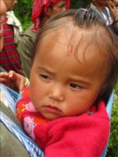 by radost, Views[156]