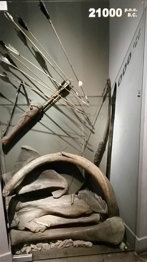 Mammoth tusk
