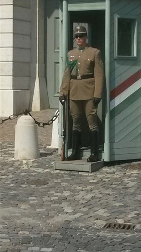 A guard at the palace grounds, it was so hot out and he was wearing all those clothes straight faced!