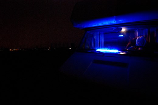 Maybe in spring she will start a new life