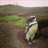 by rahelaj, Views[224]