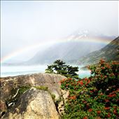 by rahelaj, Views[226]