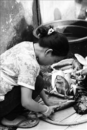 What I found in my friend’s front yard – One of friends, she’s chopping the fresh fishes near water faucet in the front yard. (South Sulawesi is well-known for its seafood. It’s easy for us to get those fishes here.): by rahma_anugrah, Views[464]