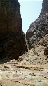 by rainagustin18, Views[134]