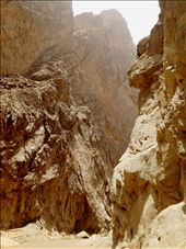 by rainagustin18, Views[128]