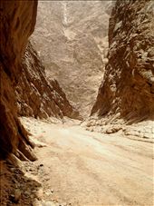 by rainagustin18, Views[120]