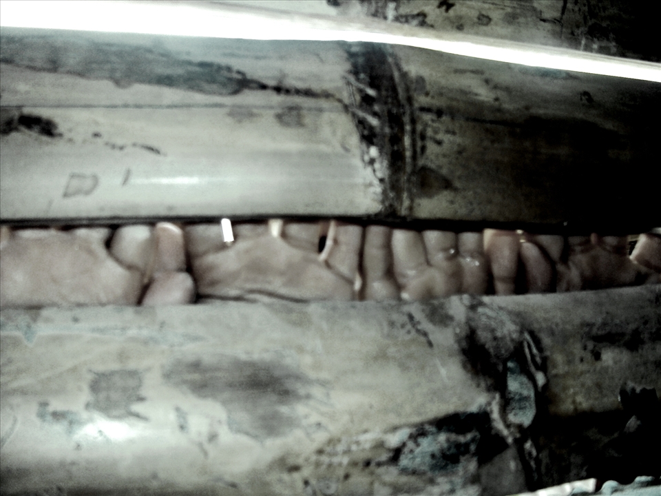 Hope is faith holding out its hand in the dark