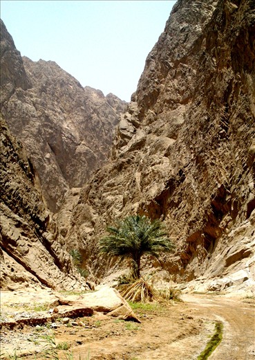 Some Biblical writers claimed that this is the real Mt. Sinai or also known as Jebel al- Lawz