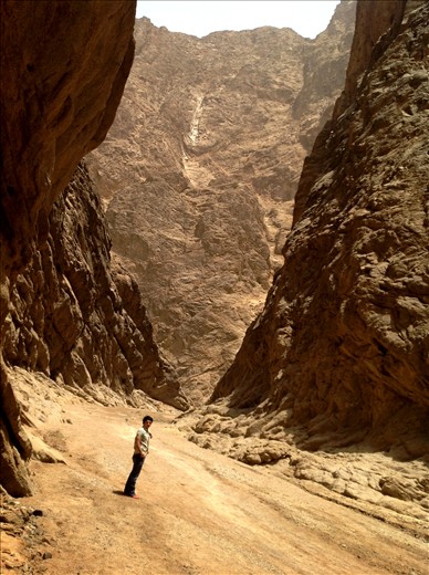 The renewal of the soul in the sound of quiteness