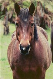 by rainerevans, Views[216]