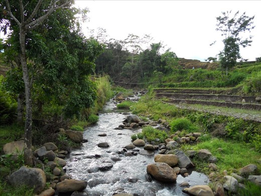 A river in rural area. It's the main source of water for people for daily life.